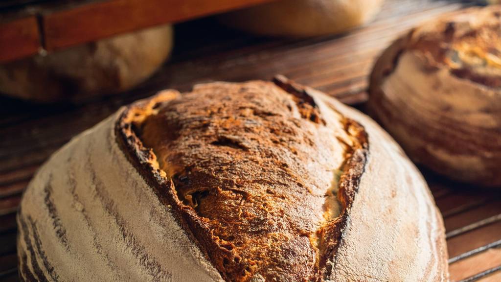 Firefly surdeigsbrød bakeri 84862