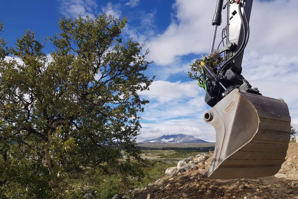 Hjerkinn naturrestaurering (1)